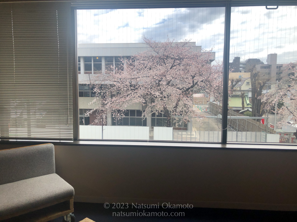 デジLIG大宮校から見える桜