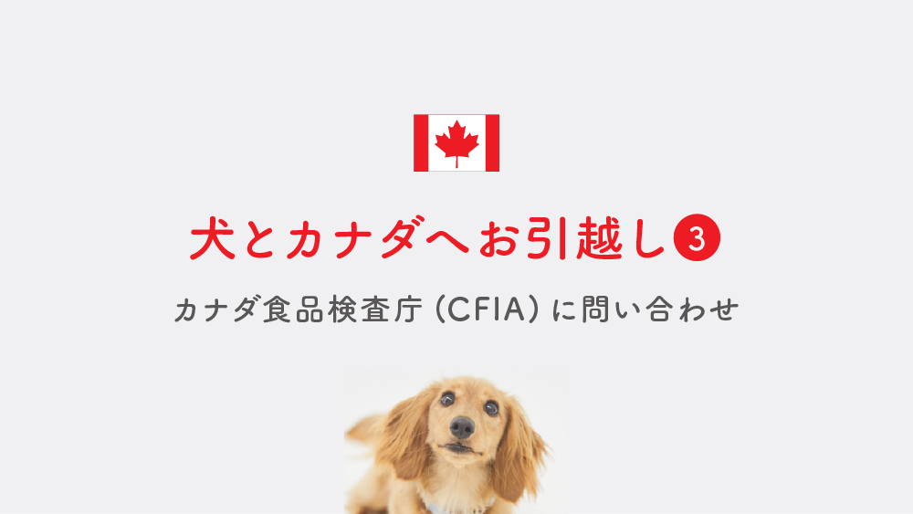 犬とカナダへお引越し③【カナダの食品検査庁(CFIA)に問い合わせ】