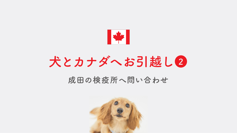 犬とカナダへお引越し②【成田の検疫所へ問い合わせ】